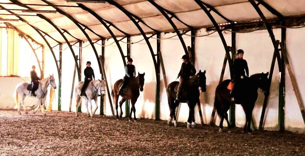 Kezdők & Futószár