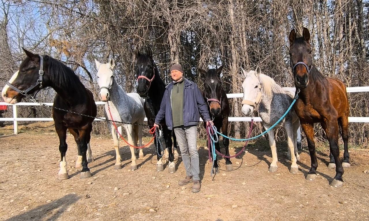 András Komjáthy mit seinen Pferden